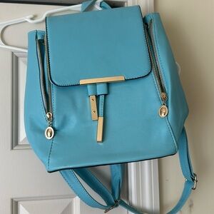 Baby blue elevated backpack